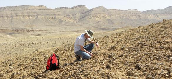 Will Cary collecting crinoid pieces in the Makhtesh Gadol, Israel