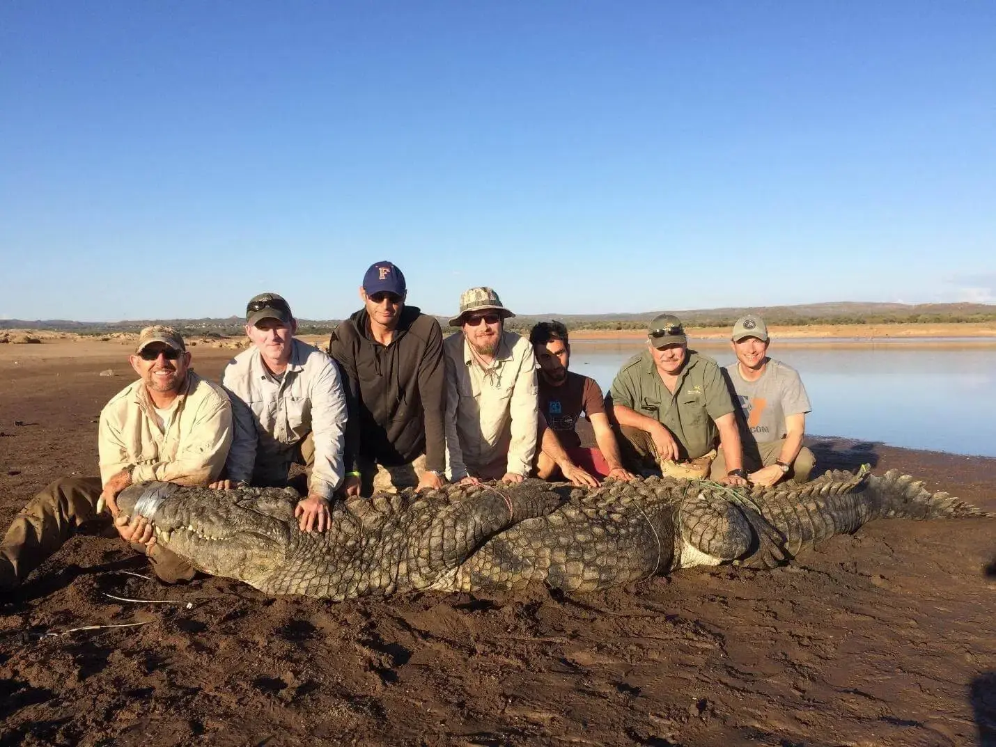 South Africa, wildlife study on pansteatitis in fish and crocodiles from the area